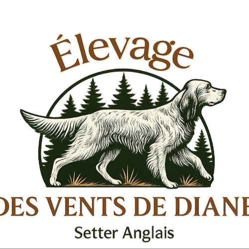 Elevage des vents de Diane